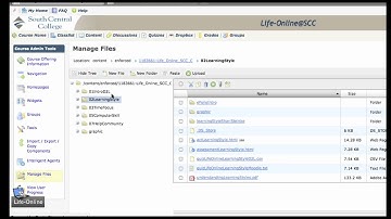 Adding Content to a D2L Course