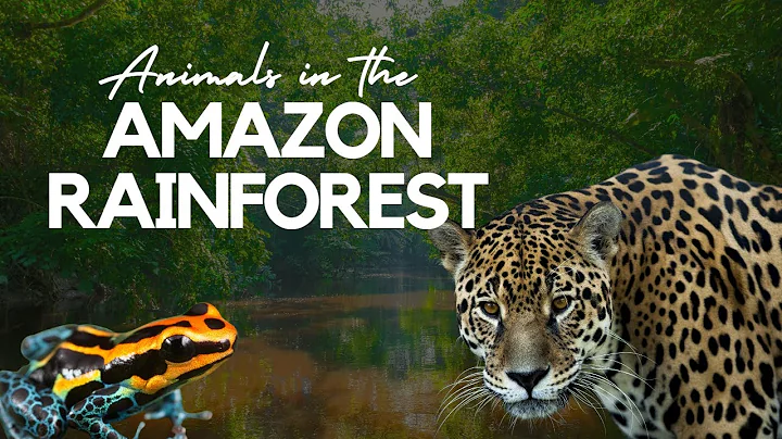 Enchanting World of Rare and Endangered Animals in the #Amazon  Rainforest‼️