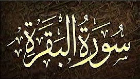 تعليم اللغه التركيه مستوي متقدم ترجمه معاني القران الكريم تركي سوره البقره 50-60