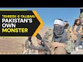 Pakistan created a monster which it cannot handle  why tehreeketaliban are gunning for pakistan