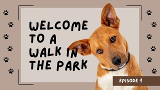 Welcome to A Walk in the Park