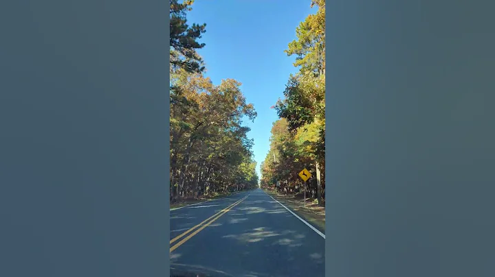 You know it's fall when the leaves changes colors!! #autumn #trees #fall #trip #longroadtrip