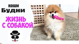 ВЛОГ НЕНУЖНЫЕ ВЕЩИ В ДОБРЫЕ РУКИ ВЛОГ НЕНУЖНЫЕ ВЕЩИ В ДОБРЫЕ РУКИ