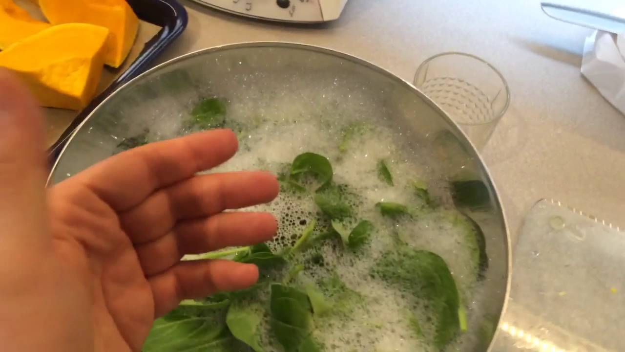 Checking Vegetables as a Kosher Vegan YouTube