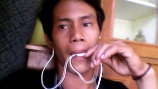 Singgel Amggur Merah