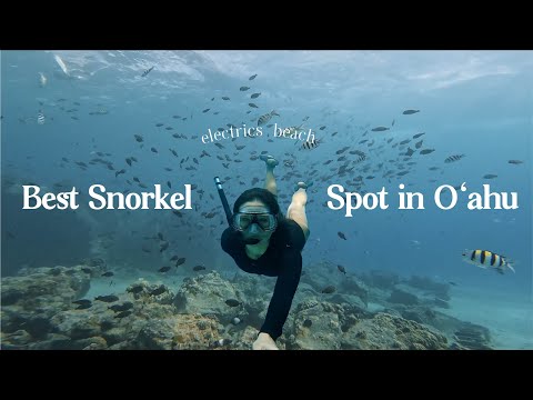 o'ahu's best snorkel spot | electrics beach, hawaii snorkeling vlog