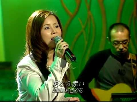 劉依純 - 南の花嫁さん/ 幾度花落時