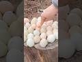 Crushing Eggshells for the Garden