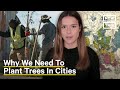 How Systemic Racism Affects Trees in Your City | One Small Step