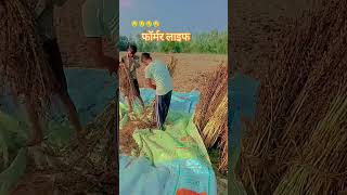10 October 2025#farmerife#varaal farmers mini vlog
