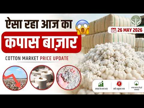 ऐसा रहा आज कपास बाज़ार🔥 Cotton market rate today #youtube