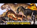 Paleo Accurate Vs Non Paleo Accurate Large Carnivores Size Comparison - Jurassic World Evolution 2