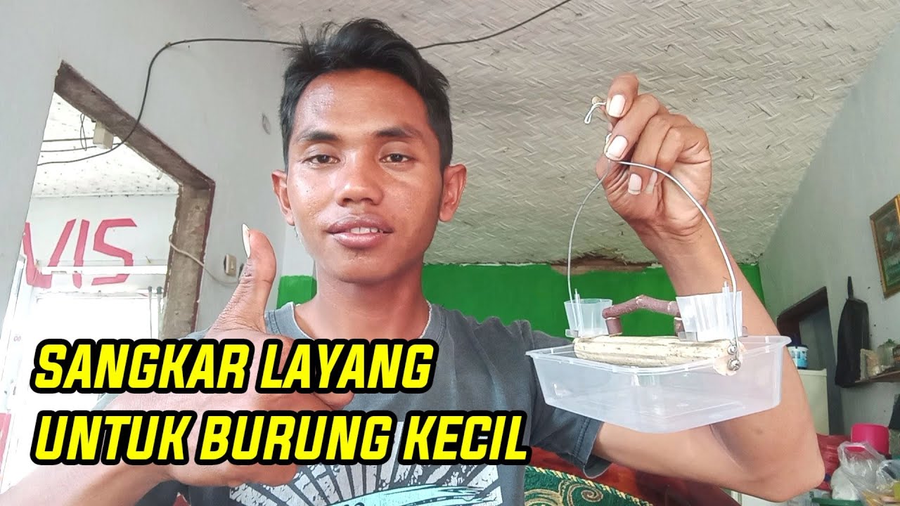 Cara buat sangkar layang untuk burung kecil menggunakan BAHAN BEKAS