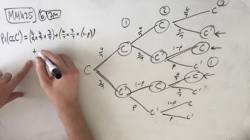 MM425 Maths Methods Fortify Study Guide - "Probability application question"