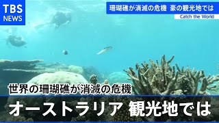 世界の珊瑚礁が消滅の危機 オーストラリアの観光地では 【ＣＡＴＣＨ ＴＨＥ ＷＯＲＬＤ】