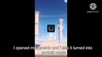 Genshin on Portrait Mode