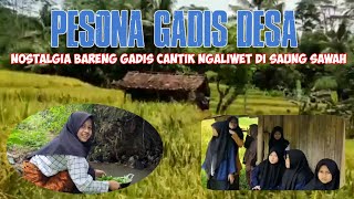 Pesona Gadis Desa|| Nostalgia bareng Gadis Cantik. Ngaliwet di saung sawah Girl Rural Life. Part 1