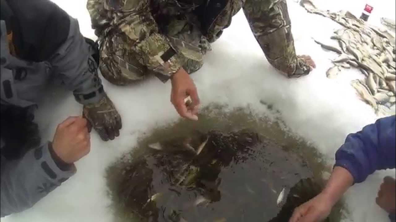 Охота и рыбалка на севере видео. Рыбалка на крайнем севере. Подледная рыбалка на севере. Зимняя рыбалка на севере. Браконьеры зимой на рыбалке.