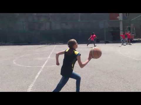 ბურთის კალათში ჩასმა