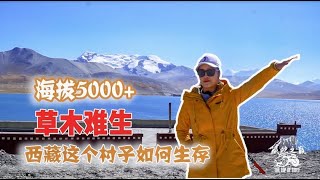 西藏海拔5000米如何生存环境恶劣人均寿命不长村里全是新房【旅行嘉日记】