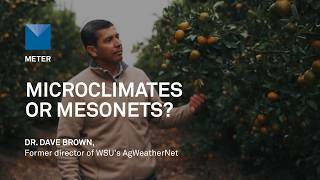 Microclimates Or Mesonets