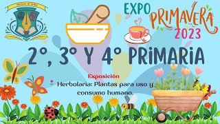 Expo Primavera Primaria 2º, 3º y 4º