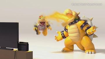 YTP: Controls Parental Switch Nintendo