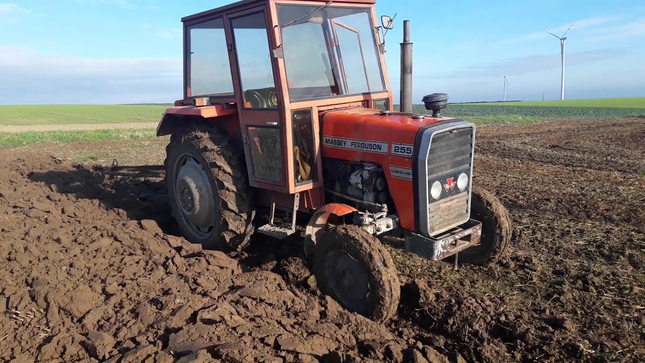 Ciężka orka zimowa/ MF255 w akcji/ na 500 subów