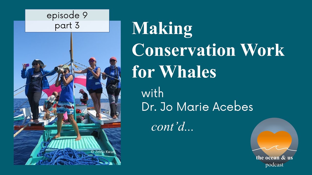 The Ocean & Us Ep 9: Making Conservation Work for Whales (part 3/3)