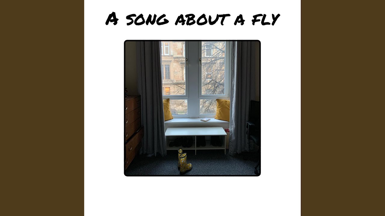 A song about a fly YouTube