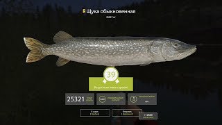 Русская Рыбалка 4 Russian Fishing 4 - I7cix 39 lvl Up!)