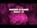 PROVÉRBIOS 20 - NARRADO