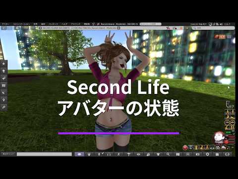Second Lifeメニューバー アバターの状態タブをおさらい リアンナ Note