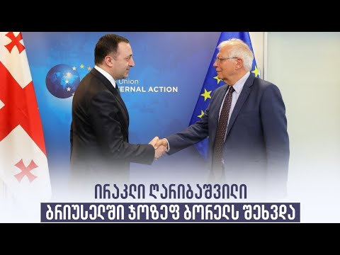 ირაკლი ღარიბაშვილი ბრიუსელში ჯოზეფ ბორელს შეხვდა