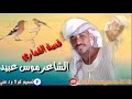 قصةالقماري مع الشاعر موسي عبيد قصةالقماري مع الشاعر موسي عبيد
