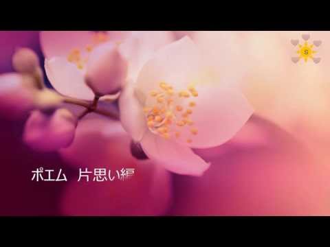 ポエム 片思い編 第４弾 Sakura Youtube