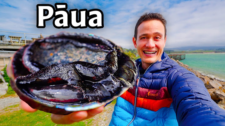 New Zealand’s BEST FOOD Secret!! You Have to Taste This!! 🇳🇿
