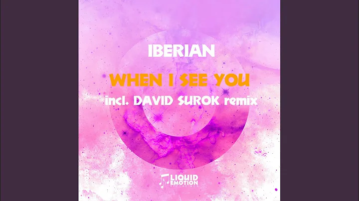 When I See You (David Surok Remix)