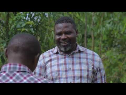 PAPA SAVA EP 40 : OYA NDAZA BY NIYITEGEKA Gratien( Rwandan Comedy ...