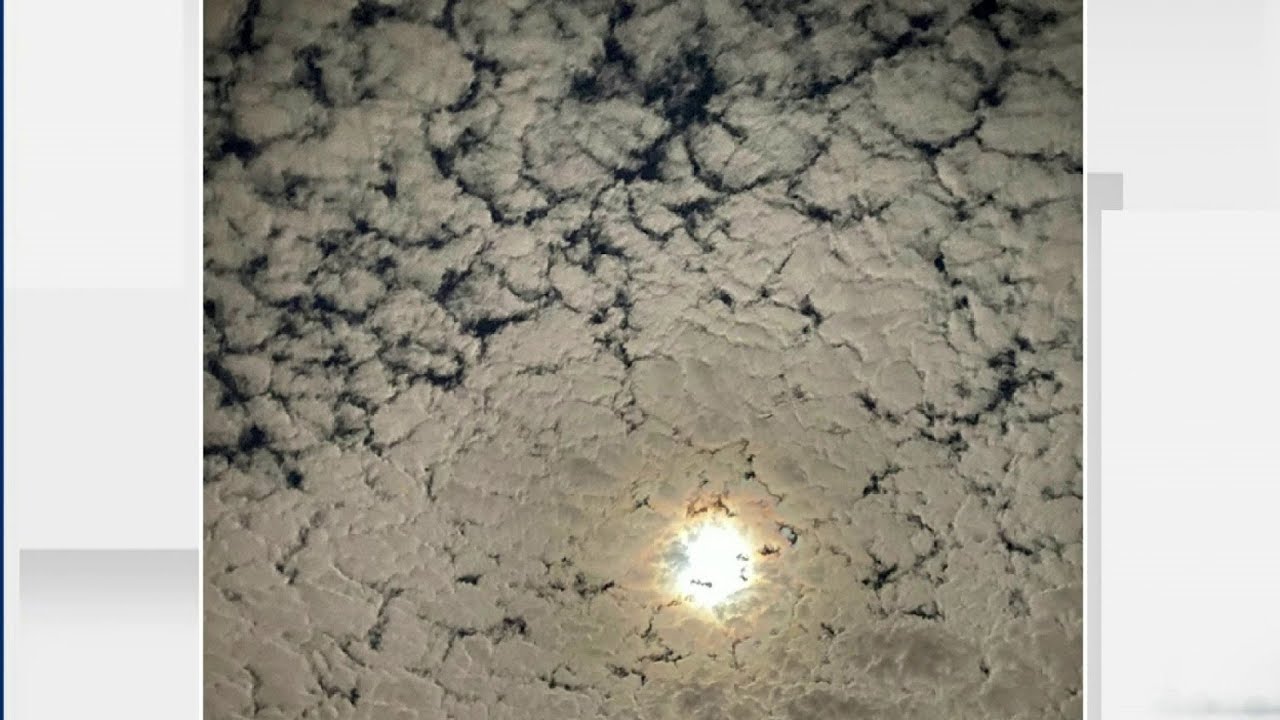 Updated forecast: Chilly weather continues in Central Florida - YouTube