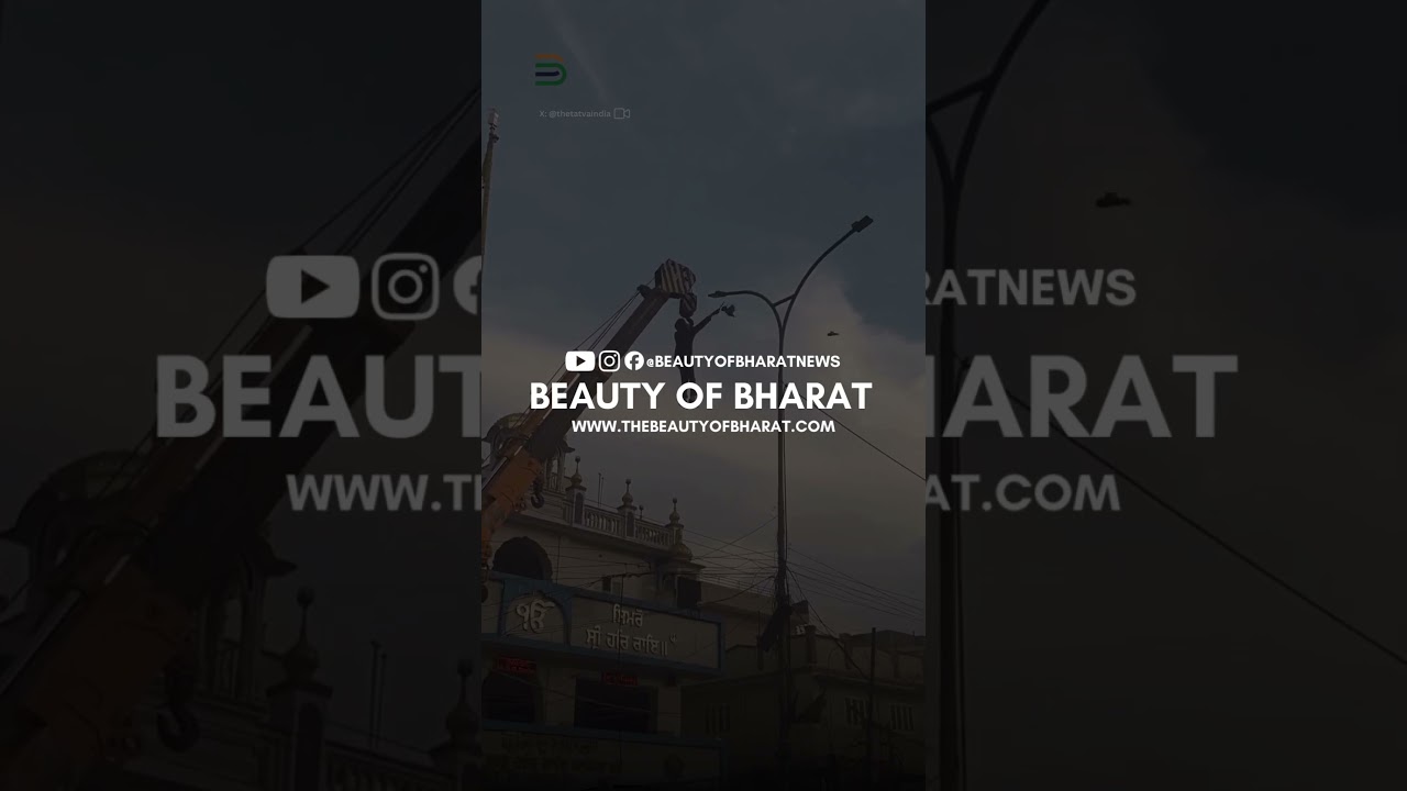 Viral video shows man hanging from a crane to rescue bird entangled in wires. 