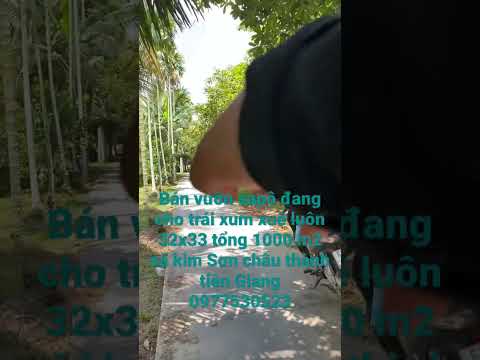 Bán 1000 m2
