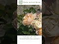 ロアルド．ダール - Roald Dahl (Ausowlish)