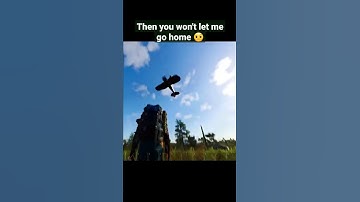 I just want to fly #shorts