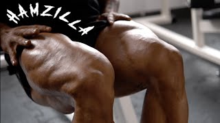 Hamzilla - Bodybuilder