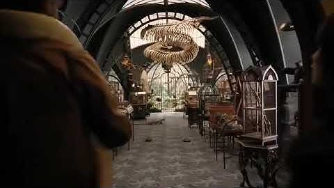 A Series Of Unfortunate Events - The Reptile Room