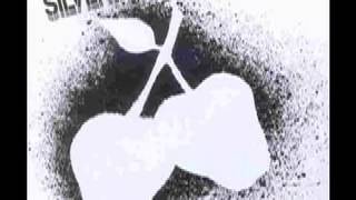 Video thumbnail of "Silver Apples - Misty Mountain"
