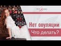 Овуляция. Что делать, если нет овуляции? Мнение гинеколога