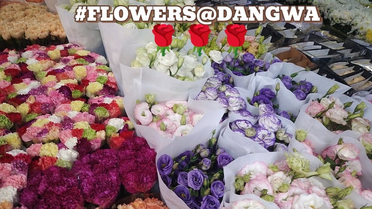 #FLOWERS@Dangwa#Bagsakan ng mga bulaklak from Baguio at sa ibang bansa.