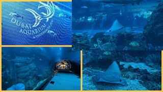 Exploring Dubai Aquarium &  Under Water Zoo Part-1 | Complete Tour of Dubai Aquarium-Dubai
